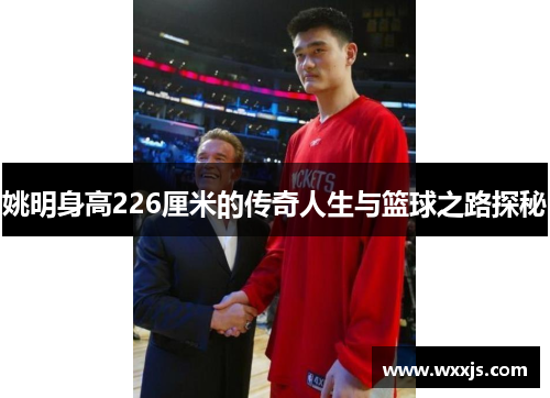 姚明身高226厘米的传奇人生与篮球之路探秘