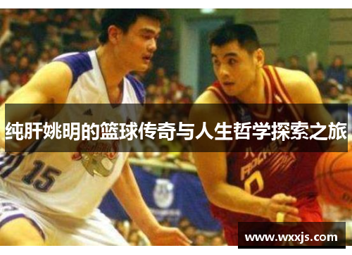 纯肝姚明的篮球传奇与人生哲学探索之旅